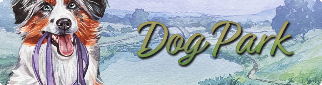Dog Park - Reimpresión y nuevas expansiones